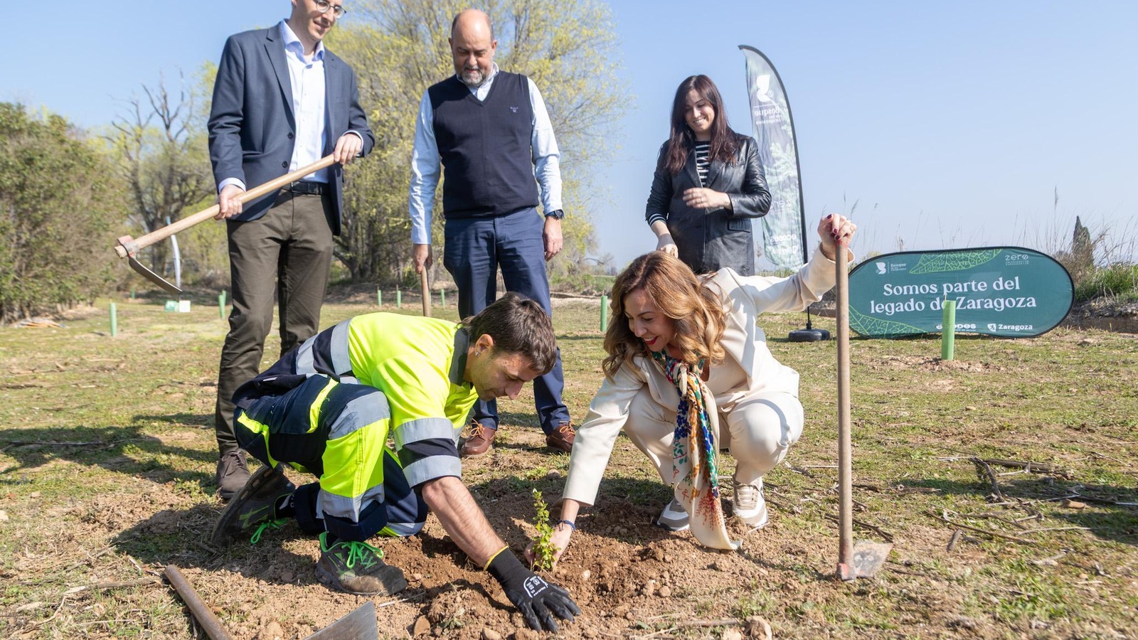Plantaciones de El Bosque de los Zaragozanos en terrenos cedidos por la CHE junto al Canal Imperial de Zaragoza.