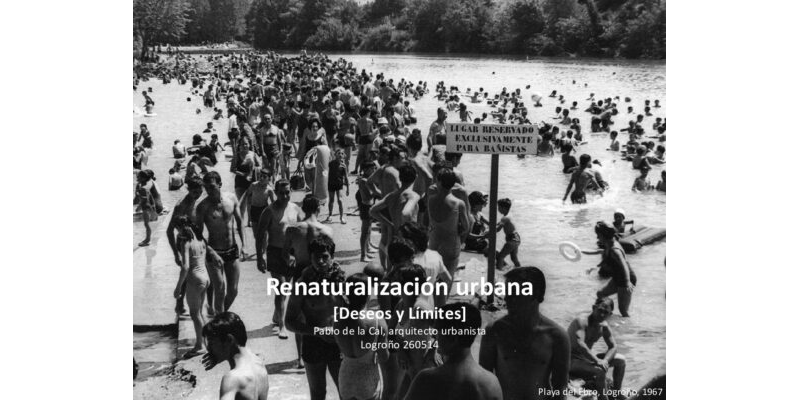 Restauración fluvial e hidromorfología en la cuenca del Ebro-Alfredo Ollero Ojeda
